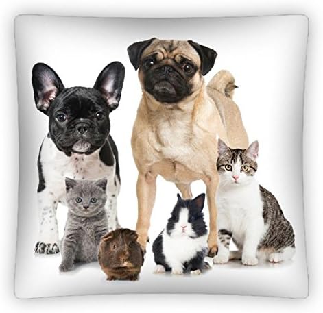 Home Decor Collection Best Friends Dog Cat Rabbit Guinea Pig Cushion Cover 40 x 40 cm
