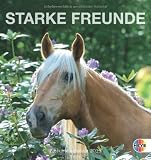 Pferde - Starke Freunde 2013. Postkartenkalender by