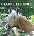 Pferde - Starke Freunde 2013. Postkartenkalender by
