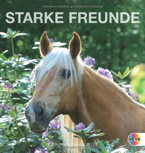 Pferde - Starke Freunde 2013. Postkartenkalender