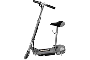 AGP ADVANCED GLOBAL PRODUCTIONS Silver 120W Teens Foldable Kids Powered Scooters 24V Rechargeable Battery Adjustable Ride on Outdoor Toy