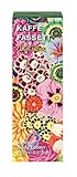 Kaffe Fassett Hydrate Body Lotion 295 ml