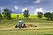 Produktbild Alu-Dibond-Bild 140 x 90 cm: "Traktor mit Heuwender vor einem Rapsfeld", Bild auf Alu-Dibond