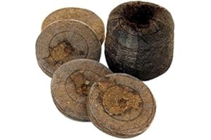 50 Pastilles de tourbe compressée Ø38mm Jiffy 7