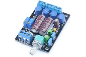 DollaTek TA2024 Amplificatore Audio Digitale Computer di Bordo PC HiFi AMP Speaker Modulo DIY 2 canali Alimentazione 3A / 12V con 2200uF / 16V Elettrico di Grande capacità