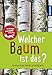 Welcher Baum ist das? Kindernaturführer: entdecken, erkennen, erleben by Holger Haag