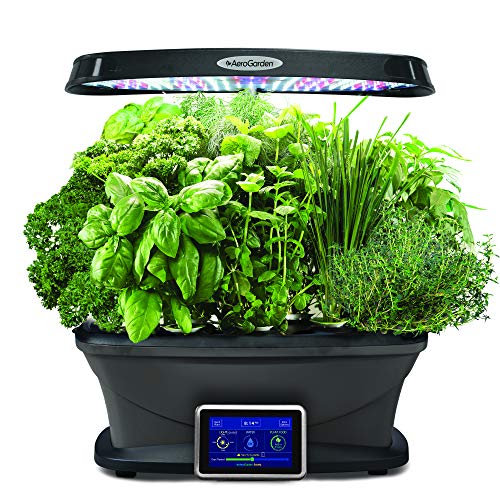 AeroGarden Bounty jardín Interior, Negro