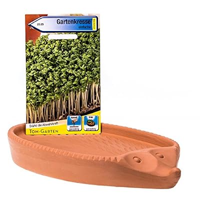 Römertopf Herbes de Cresson Peluche Hérisson de Cresson env. 24 x 14 cm