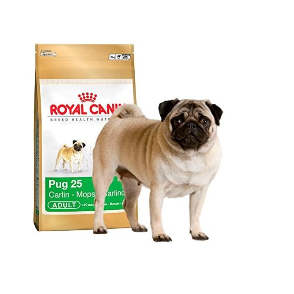 ROYAL CANIN Pug Complete Adult Dry Dog Food 1.5KG Dogs.co.uk