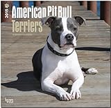 American Pit Bull Terrier Puppies 2015 - Pit Bull Welpen: Original BrownTrout-Kalender [Mehrsprachig] [Kalender] by 