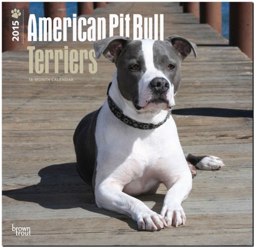 American Pit Bull Terrier Puppies 2015 - Pit Bull Welpen: Original BrownTrout-Kalender [Mehrsprachig] [Kalender]