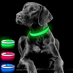 Clan-x LED Dog Collar, USB Rechargeable& Adjustable Mesh Webbing Flashing Light Up Collar Make Your Dogs Seen & Safe at Night, Green& Pink for Small, Medium, Large Dogs (M, Green)