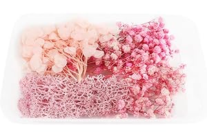 Tomedeks Flores Secas Flores Secas Naturales Flores Secas Para Resina Flores Secas Manualidades Flores Secas Naturales Decorar Flores Para Manualidades DIY Flores preservadas Resina.(A)