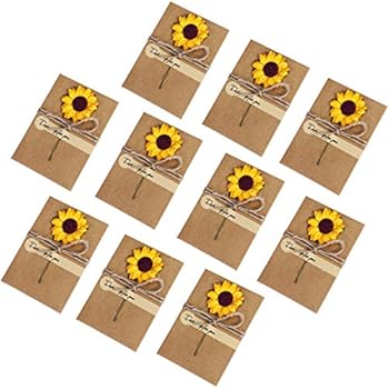 RXKFIGX Grußkarten Set Mit Getrockneten Blumen - 8 Retro Karten Mit Umschlägen