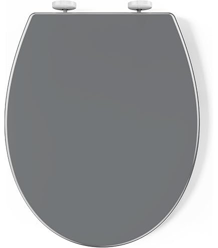 spirella Toiletdeksel ovaal wc-deksel met quick-release-functie en softclose-mechanisme, antibacteriële wc-bril van thermoplast en roestvrij staal afneembaar - taupe