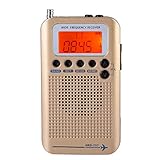 Eine Stahlstabantenne wird verwendet, um die Empfangsempfindlichkeit des Produkts zu verbessern. Das Werk ist mit einer erweiterten Antenne ausgestattet, damit Benutzer Kurzwellen empfangen können.