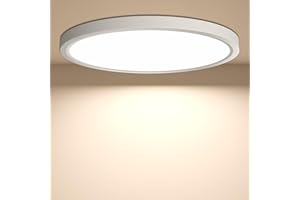 YiLaie Lampa sufitowa LED, 24 W, 2640 lm, 4000K, lampa sufitowa łazienkowa, IP44, lampa sufitowa do sypialni, sypialni, kuchni, salonu, na balkon