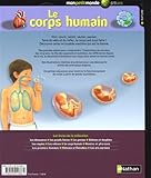 Image de CORPS HUMAIN