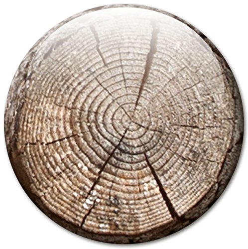 Baumstämme – Stämmige Design Metall Magnettafel 40×30 cm – Pinnwand Memoboard mit Motiv: Baumstämme – inkl. 4 Magnete mit Motiven in Baumstammscheibenoptik für Magnetwand – Original Magnetpinnwand GUMA Magneticum - 7