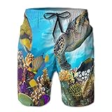 Comfortable Beach Shorts:Polyester Fiber ,Quick-Drying and Breathable, Lightweight Breathable Short And Covered Elastic Waistband.