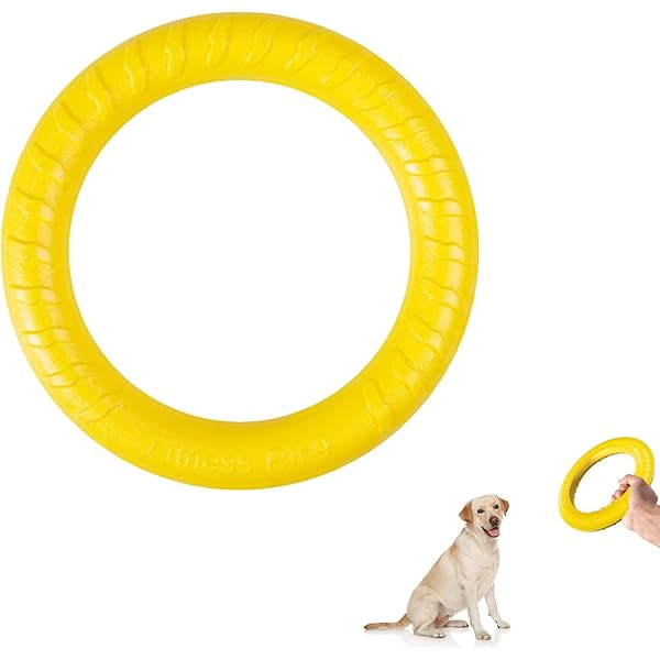 Frisbee Per Cani In Gomma - Giocattolo Galleggiante 15 Cm, Addestramento E Divertimento