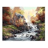 ● Hochwertiges 1000-teiliges Puzzle.