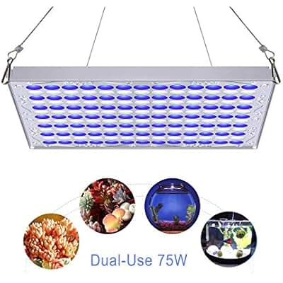 Suchergebnis auf Amazon.de für: tageslichtlampen pflanzen: Beleuchtung