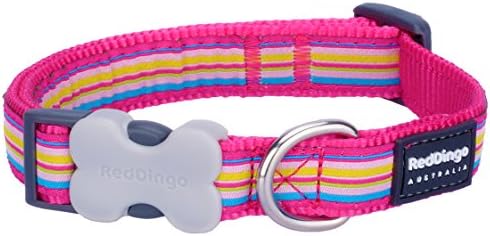 Red DingoBucklebone Dog Collar Design, Horizontal Stripes Hot Pink, Small 15mm