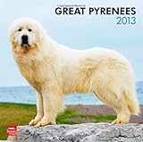 Great Pyrenees 2013 - Pyrenäenhunde - Original BrownTrout-Kalender by