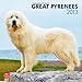 Great Pyrenees 2013 - Pyrenäenhunde - Original BrownTrout-Kalender by