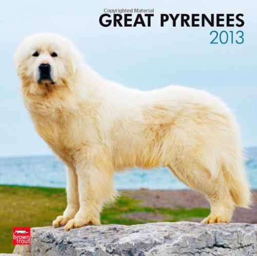 Great Pyrenees 2013 - Pyrenäenhunde - Original BrownTrout-Kalender