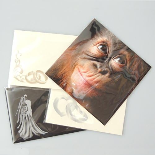 C6/A6 Cellophane Bags: (122x163mm) Card Display x50