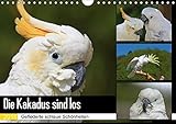 Die Kakadus sind los (Wandkalender 2018 DIN A4 quer): Gefiederte schlaue Schönheiten (Monatskalender, 14 Seiten ) (CALVENDO Tiere) [Kalender] [Apr 13, 2017] Lindert-Rottke, Antje by 