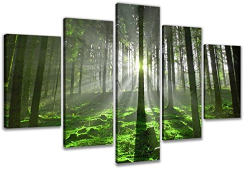 Visario 6312 Canvas Forest image composed of 5 Pieces, 200 x 100 cm
