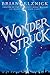 Wonderstruck (Schneider Family Book Award - Middle School Winner) by