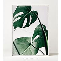 Kunstdruck / Poster MONSTERA -ungerahmt- Blatt, tropisch, Pflanze