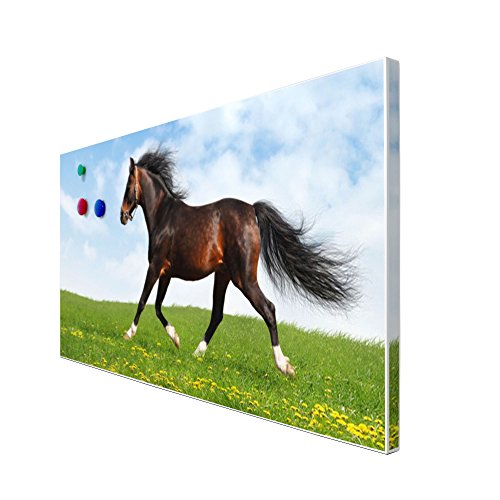banjado – Pinnwand Magnettafel weiß 78cm x 37cm quer mit Motiv Pferd - 3