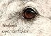 Produktbild Windhunde eye-catcher (Tischkalender 2018 DIN A5 quer): Sepia-colorierte Fotos vom Galgo Español (Monatskalender, 14 Seiten ) (CALVENDO Tiere) ... 01, 2017] - Andrea Redecker, 4pfoten-design