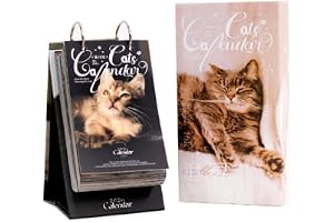 2026 Katt daglig kalender, 365 dagar med söt kattkonst, avtagbara sidor som vykort, ringbunden skrivbordsdekor och present ti