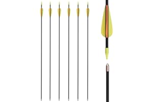 TY ARCHERY Recurve Bow Arrows 28 30 32 Inch Archery Practice Target Fiberglass Arrows Recurve Bow for Beginners Kids Youth Arrows Outdoor