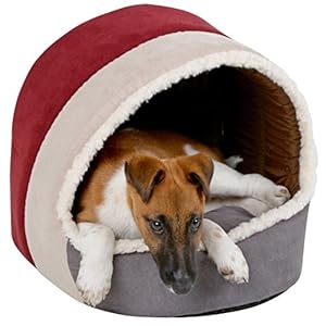 Kerbl, Accogliente Cuccia a Igloo Scamosciata Amelie, 35 cm x 33 cm x 32 cm, Bordeaux e Antracite Kerbl, Accogliente Cuccia a Igloo Scamosciata Amelie, 35 cm x 33 cm x 32 cm, Bordeaux e Antracite