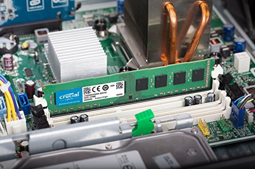 Crucial CT51264BD160B - Memoria RAM de 4 GB  DDR3L  1600 MT s  PC3L-12800  DIMM  240-Pin 