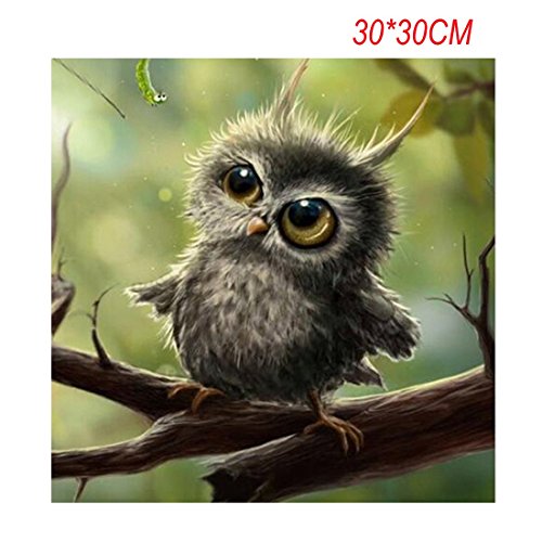 Diamant 3D Malerei Kreuz Stich 5D Diamant Stickerei Owl Mosaik Harzdekor DIY Malerei 30 * 30CM - 2