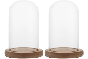 LDHHYH 2-pack Glaskupa med Träbas 9 x 15 cm, Transparent Glasklocka för Glaskupa Dekoration, Rosor, Figurer, Ljus, Samlarobjekt, DIY-vitrin och Bordsvisning