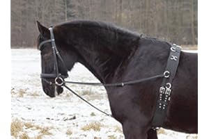German Riding Dreieckszügel Wienerzügel nach §70 LPO auf Turnieren zugelassen Leder schwarz Cob/Full
