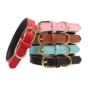 Aolove Basic Classic Padded Genuine Leather Pet Collars for Cats Puppy Small Medium Dogs (Blue, Medium)