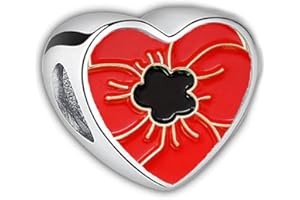 2Burned Poppy Flower Love Heart Photo Alloy Zinc Bracelet Charm Bead Gift Fit Pandora