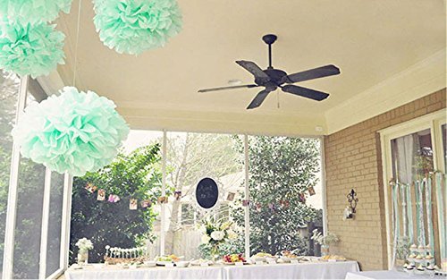 Daily Mall Mixed DIY Papier Blumen Papier Pompom 18er 20cm/25cm PomPoms Zum Aufhängen Seidenpapier schöne Dekor für Geburtstag Hochzeitsfest Basteln Babyshower Dekoration Feier Party Baby-Duschen Brautduschen Wohnungdeko (Beige-Mint grün-Peach) - 5