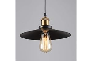 CHAO ZAN Industriel Vintage Edison Pendentif Lampe Plafonnier Rétro Intérieur Lustre pour Décoration E27 Plafonnier En Métal Pendentif élégant (Sans Ampoule)