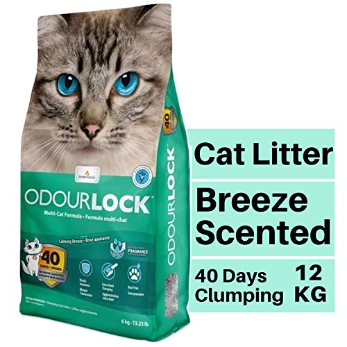 odor lock litter